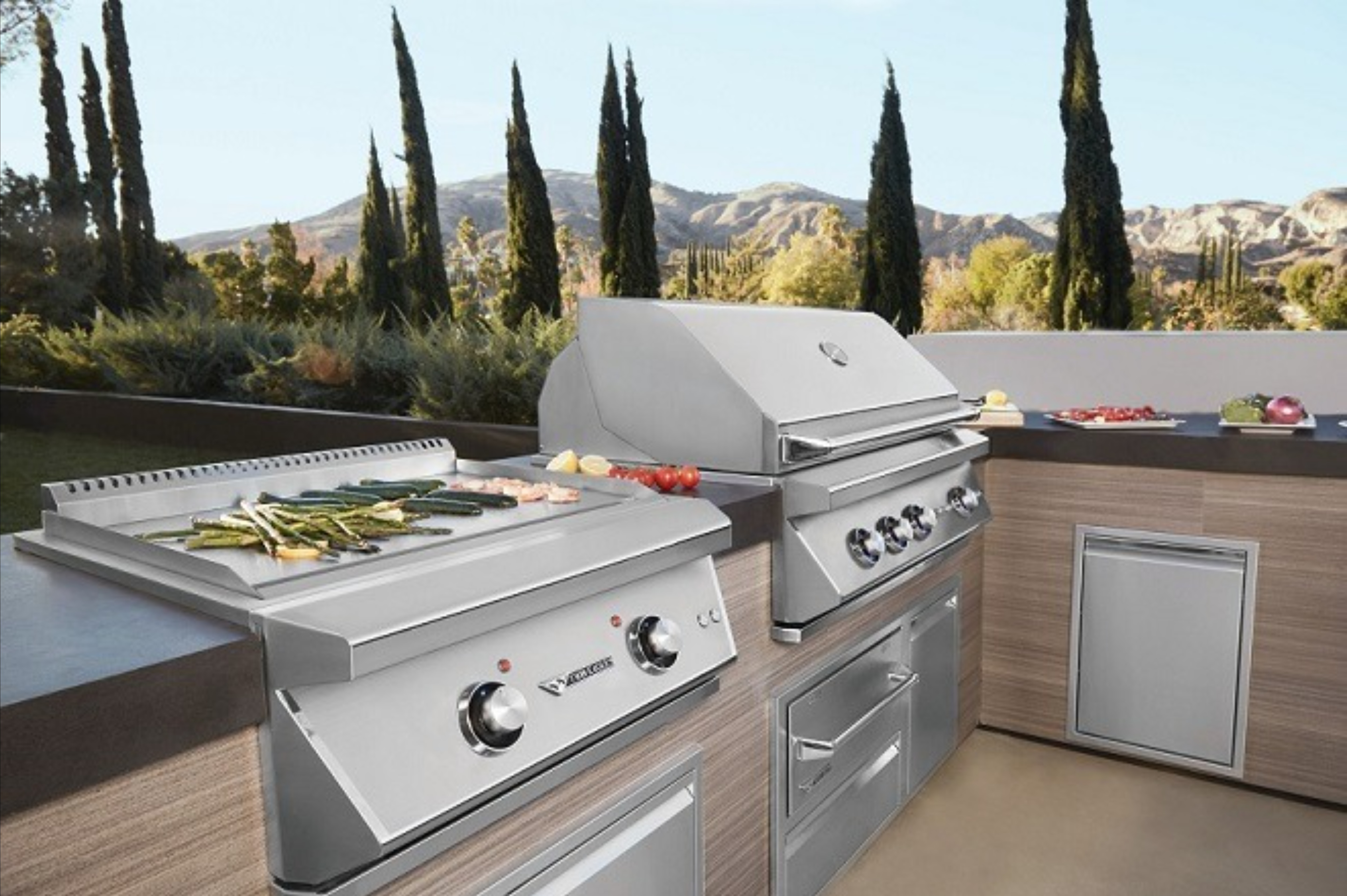 Twin Eagles Grills by Dometic